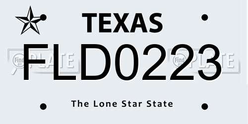 FLD0223 Texas License Plate
