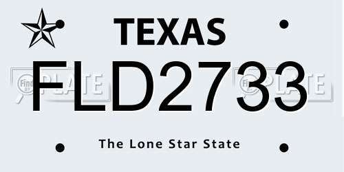 FLD2733 Texas License Plate