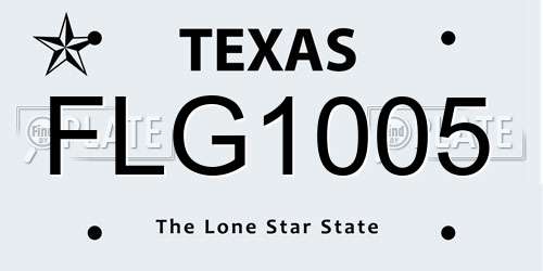 FLG1005 Texas License Plate
