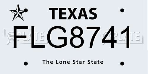 FLG8741 Texas License Plate