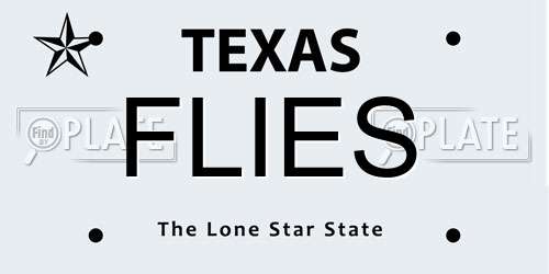 FLIES Texas License Plate