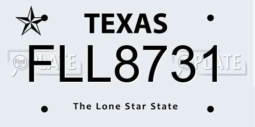 FLL8731 Texas License Plate