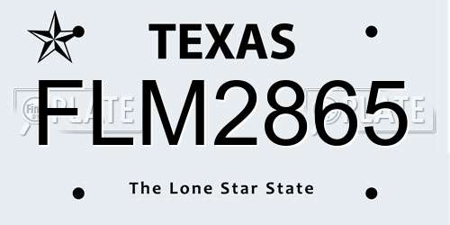 FLM2865 Texas License Plate