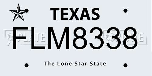 FLM8338 Texas License Plate