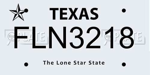 FLN3218 Texas License Plate