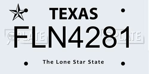 FLN4281 Texas License Plate