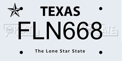 FLN668 Texas License Plate