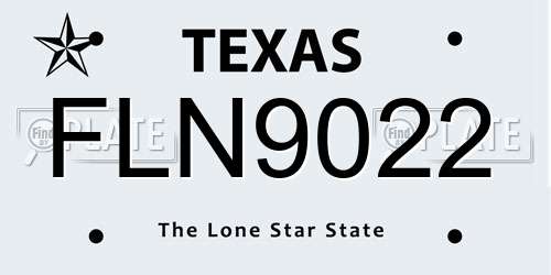 FLN9022 Texas License Plate