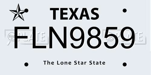 FLN9859 Texas License Plate