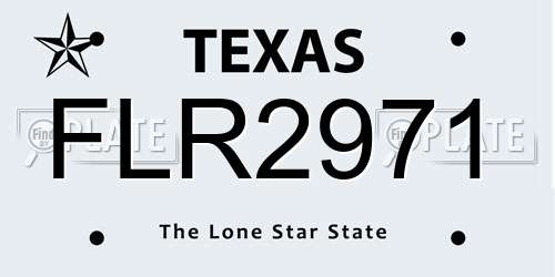 FLR2971 Texas License Plate