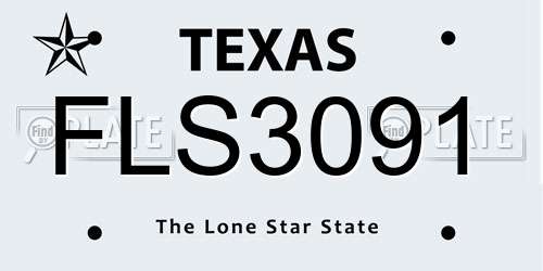 FLS3091 Texas License Plate