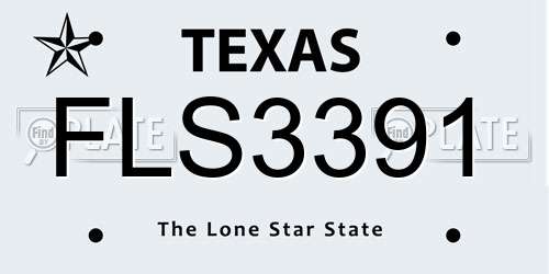 FLS3391 Texas License Plate