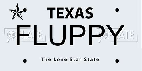 FLUPPY Texas License Plate