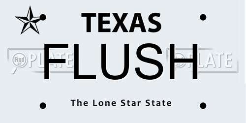 FLUSH Texas License Plate
