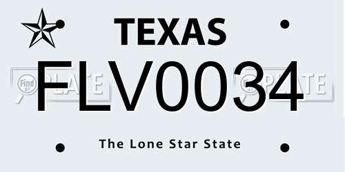 FLV0034 Texas License Plate