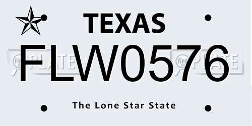 FLW0576 Texas License Plate