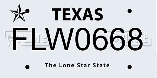 FLW0668 Texas License Plate