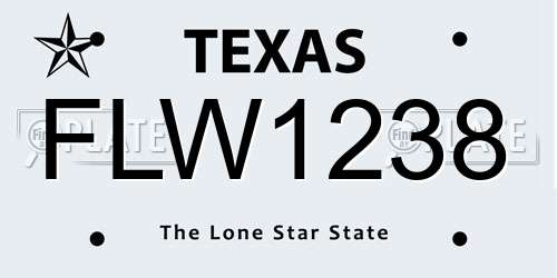 FLW1238 Texas License Plate