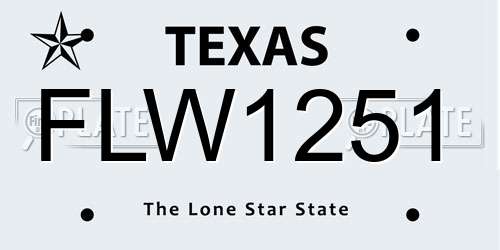 FLW1251 Texas License Plate