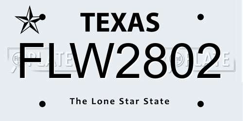 FLW2802 Texas License Plate
