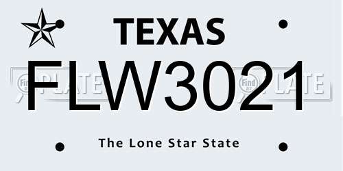 FLW3021 Texas License Plate