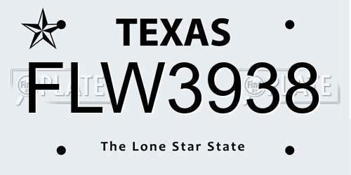 FLW3938 Texas License Plate