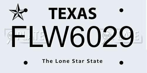 FLW6029 Texas License Plate