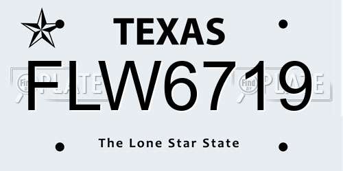 FLW6719 Texas License Plate