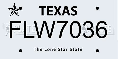 FLW7036 Texas License Plate