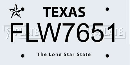 FLW7651 Texas License Plate