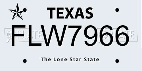FLW7966 Texas License Plate