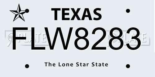 FLW8283 Texas License Plate