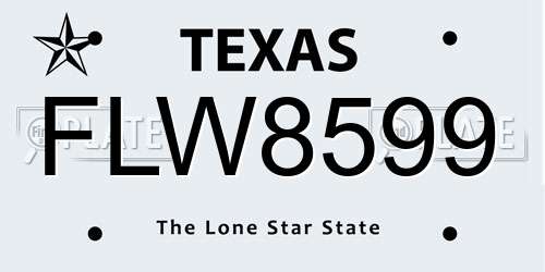 FLW8599 Texas License Plate