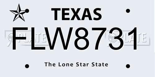FLW8731 Texas License Plate