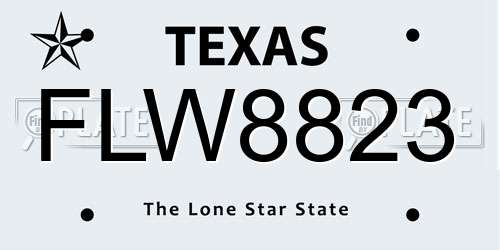 FLW8823 Texas License Plate