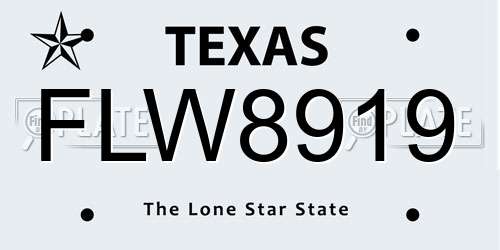 FLW8919 Texas License Plate
