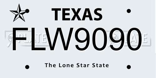 FLW9090 Texas License Plate