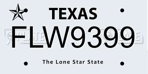FLW9399 Texas License Plate