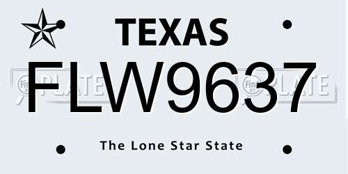 FLW9637 Texas License Plate