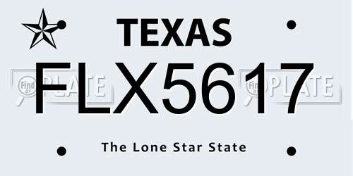FLX5617 Texas License Plate