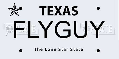 FLYGUY Texas License Plate