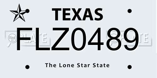 FLZ0489 Texas License Plate