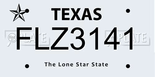 FLZ3141 Texas License Plate