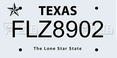 FLZ8902 Texas License Plate