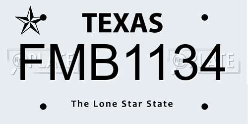 FMB1134 Texas License Plate