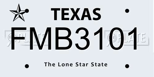 FMB3101 Texas License Plate