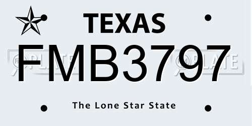 FMB3797 Texas License Plate