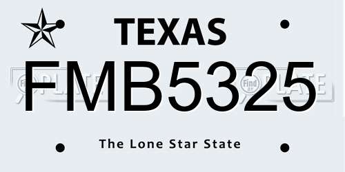 FMB5325 Texas License Plate