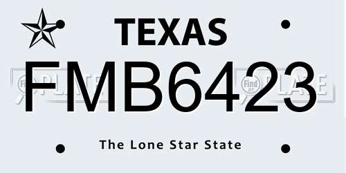 FMB6423 Texas License Plate