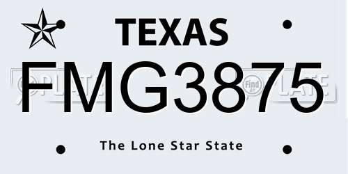 FMG3875 Texas License Plate